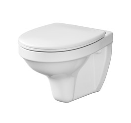 SET wall hung bowl DELFI with duroplast toilet seat